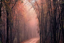 WTT重庆冠军赛丨国乒7人闯入半决赛新华网.