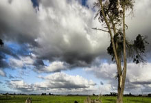 100%命中率得到6分！崔永熙发展联盟得分新高.