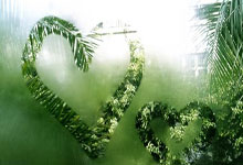 开云体育：CBA官方罚单：山西外援竖中指被罚5万.