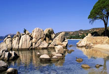 WTT重庆冠军赛丨国乒7人闯入半决赛新华网.